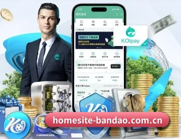 homesite-bandao.com.cn APP 深度功能